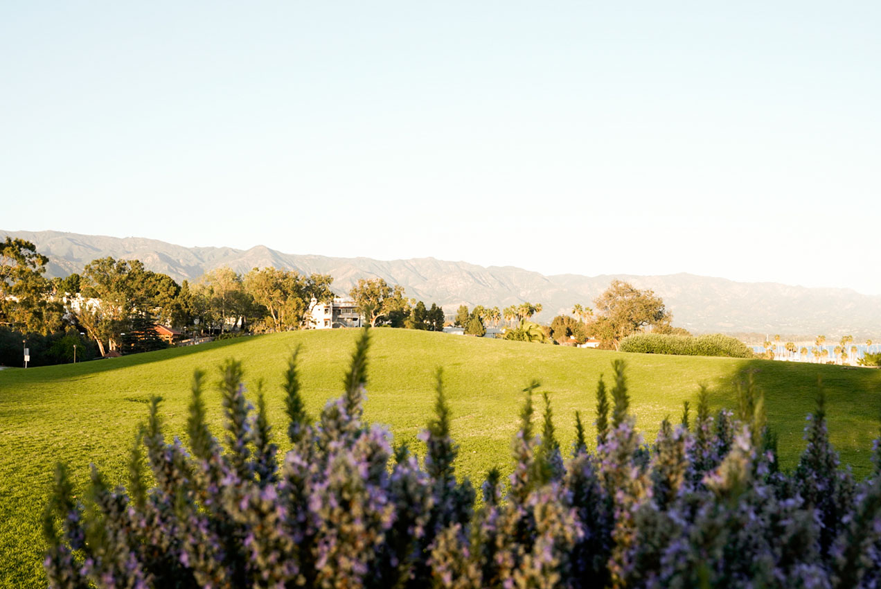 Great Meadow towards mountains